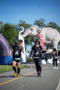 BIB: 
                            <button type="button" onclick="openModal(26543310)" class="btn btn-primary btn-sm float-right btn-popup" data-toggle="modal" data-target=".modal-high-quality">
                        <i class="fas fa-shopping-cart"></i> Add to Cart
                    </button>
                                            <button type="button" onclick="isThisMe(26543310, true)" class="btn btn-success btn-sm float-right btn-popup btn-isme hidden" data-toggle="tooltip" data-placement="bottom" title="นี่คือรูปของคุณใช่ไหม คลิกที่นี่เพื่อเอาเข้าอัลบั้ม">
                        <i class="fas fa-plus"></i> Add to album
                    </button>
                    <button type="button" onclick="isThisMe(26543310, false)" class="btn btn-warning btn-sm float-right btn-popup btn-isnotme hidden">
                        <i class="fas fa-ban"></i> Remove from album
                    </button>